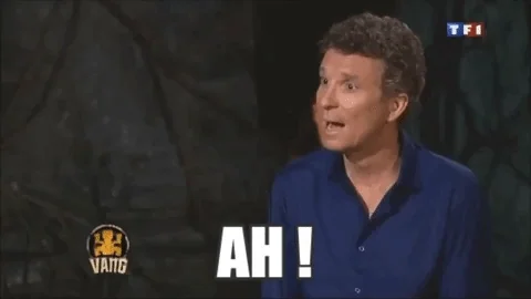 Meme AH Denir Brogniart