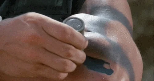 Meme Schwarzenegger